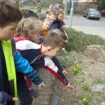 Jarní květiny