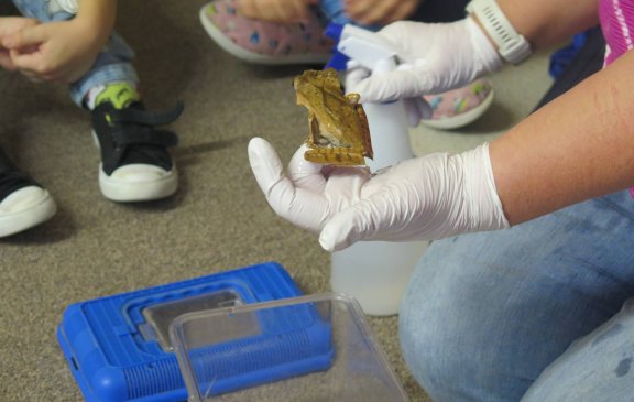 Výukový program - Žáby