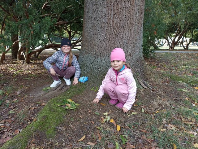 Cvičení v přírodě